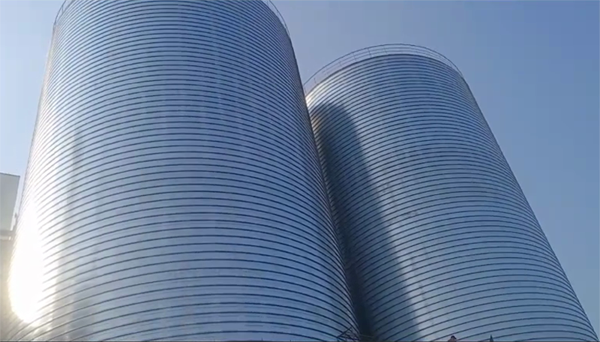 漳浦2座混凝土高架卷板仓